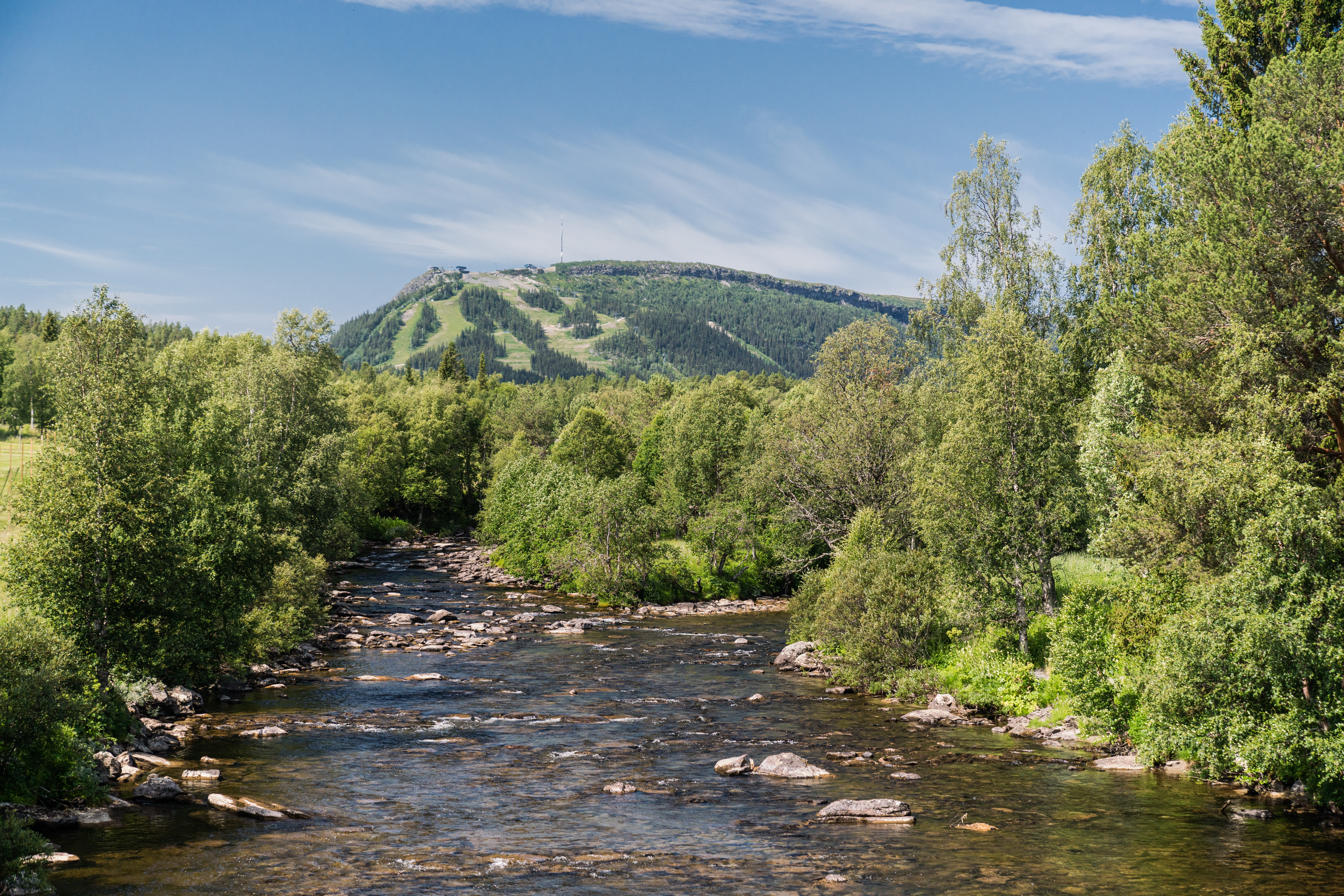 EJansson_HIGH_02867