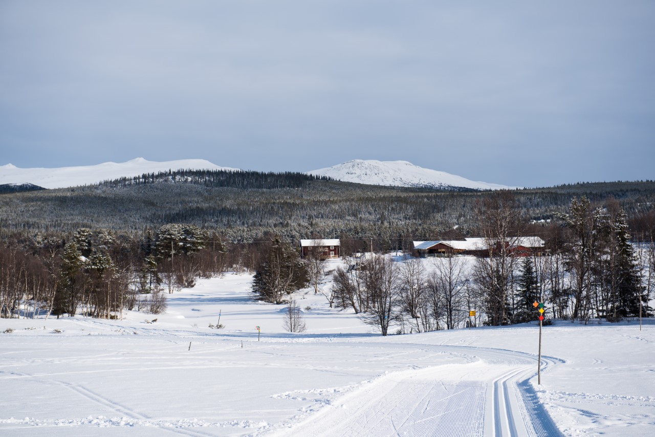 Vinter anåfjällen